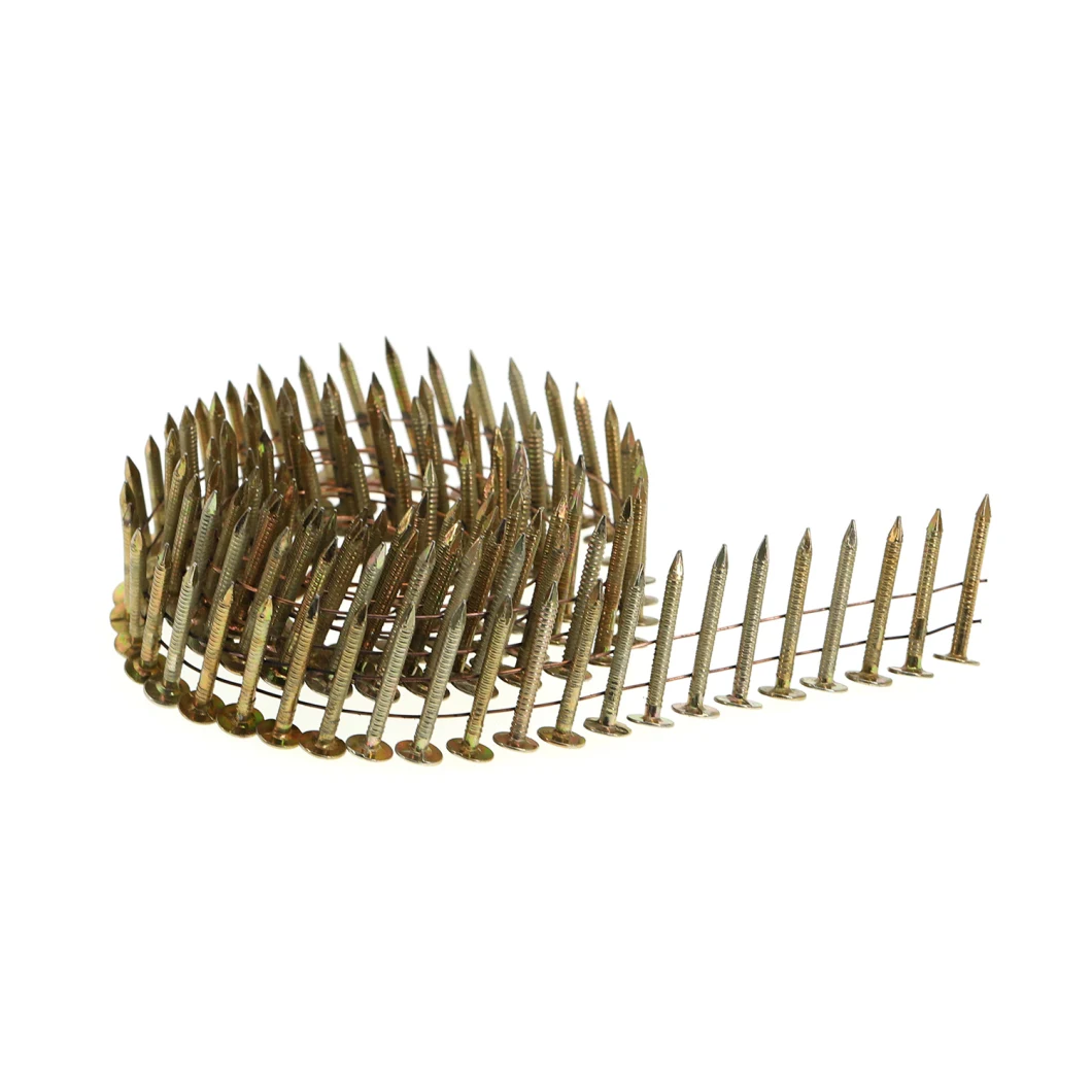 7/8" Length 0.120" Gauge Round Head Diamond Point Smooth Shank Coil Pneumatic Roofing Nails