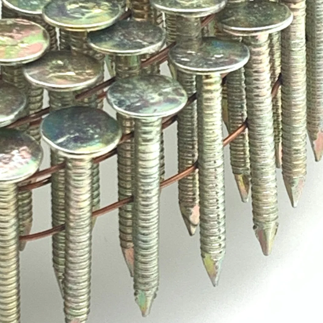 Steel Q195 Q235 Bulk Galvanized Flat Ring Pallet Coated Collated Shank Smooth Screw Building Roofing Wire Coil Nails