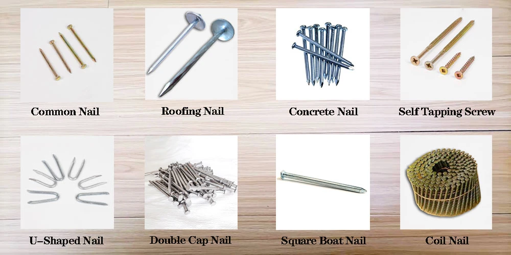 Galvanized Steel Wire/Screw Bolt & Nut /Q195/0.8-4.0 Inch/Concrete/Nails