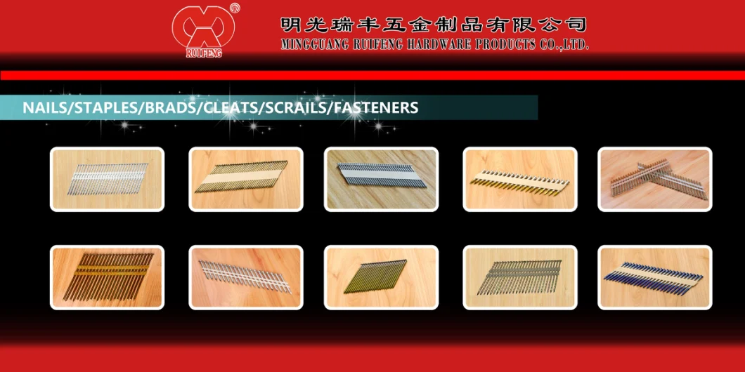 Eg Roofing Nails Wire Coil Nails Hot Sale