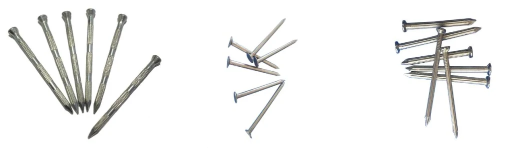 Hardware Fastener Electro Galvanized Steel Concrete Nails 3.0mm*40mm