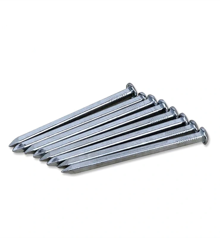 Galvanized Rose Head Square Boat Nail in Guangzhou