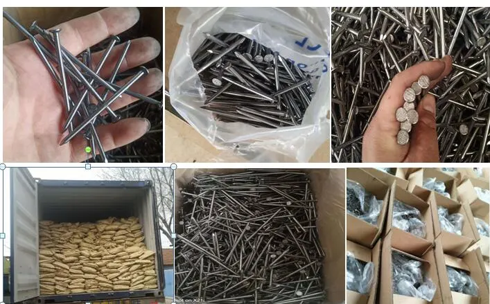 Q195/Q235 Polished Common Nails with 25kg/Carton Bulk Packing