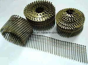 Galv Coil Roofing Nails China