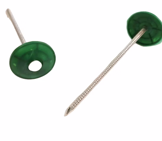 Professioneller Hersteller Produkte Common Nail Square Shank Nail Square Boat Nail mit hoher Qualität